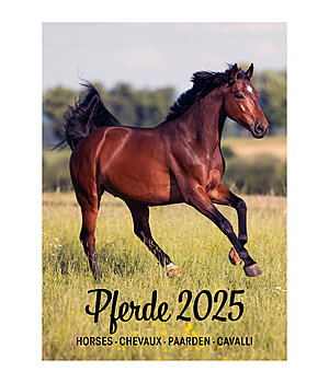 Krmer Calendario 2024 - 333