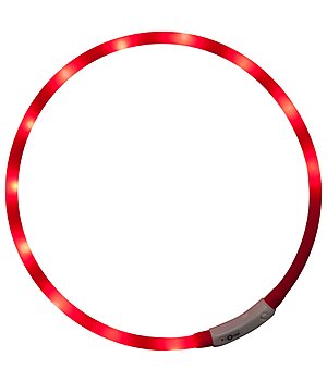 STEEDS Collare per cani con LED - 340190--R