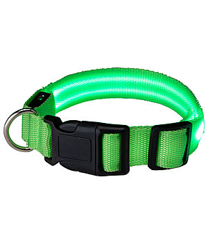 STEEDS Collare per cani LED Loom - 340991-M-G