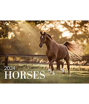 Equino Media Horses calendario 2023 - 390002