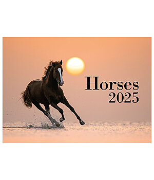Equino Media Calendario 2026 Horses - 390002