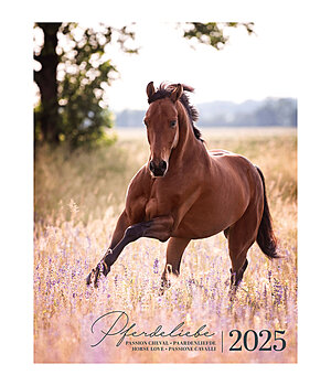 Claudia Rahlmeier & Frederike Scheytt Calendario 2024 passione cavalli - 390004