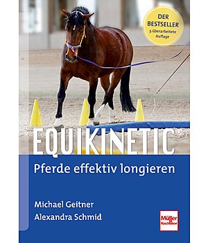 Michael Geitner & Alexandra Schmid Equikinetic - 402231