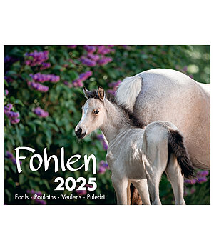 Equino Media Calendario 2026 puledri - 402255