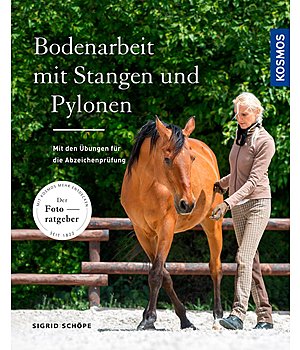 Sigrid Schpe Bodenarbeit mit Stangen und Pylonen - 402280