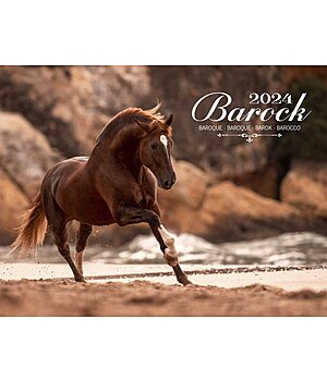 Equino Media Calendario 2023 cavalli barocchi - 402354