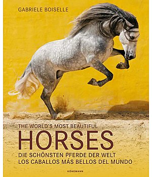 The world's most beautiful Horses /  Die schönsten Pferde der Welt - 402404