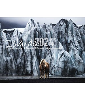 Equino Media Calendario 2023 cavalli islandesi - 402412
