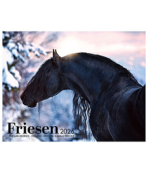 Equino Media Calendario 2024 cavalli frisoni - 402417
