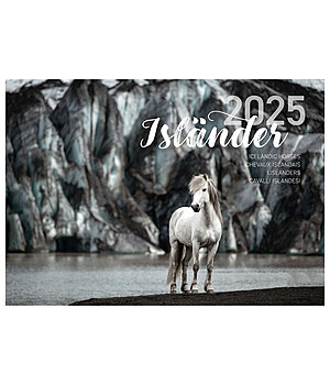 Ponyliebe Fotografie Calendario 2026 cavalli islandesi - 402419