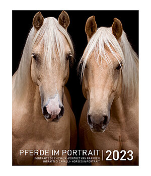 Equino Media Calendario con ritratti di cavalli 2023 - 402532