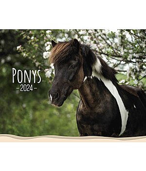 Ponyliebe Fotografie Calendario 2023  pony - 402538