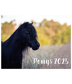 Ponyliebe Fotografie Calendario 2026  Pony - 402538