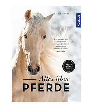 Alles ber Pferde - 402562