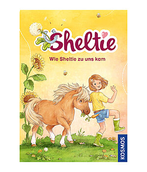 Sheltie - Wie Sheltie zu uns kam - 402573