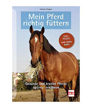 Mein Pferd richtig fttern - 402579