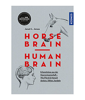 Horse Brain Human Brain - 402604