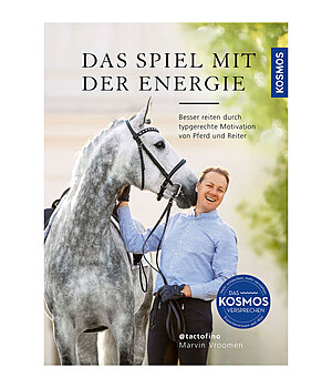 Das Spiel mit der Energie - 402639