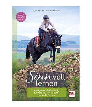 Sinnvoll lernen - 402641