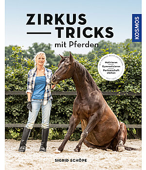 Zirkustricks mit Pferden - 403264