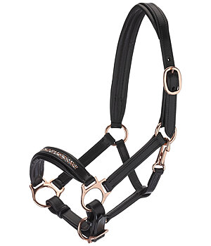 SHOWMASTER Capezza per puledri e Shetland Little Rosy - 440870-FO-SR