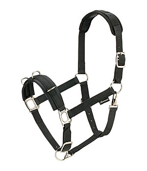 SHOWMASTER Capezza da doma Solid - 550007-F-S