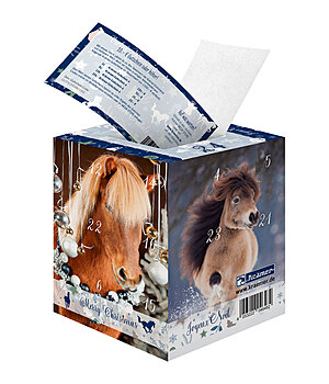 Krmer Calendario dell'Avvento Kramer con un buono da 10 EURO - 621214