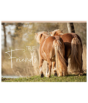 SHOWMASTER Cartolina True Friends - 621811