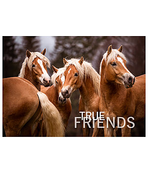 SHOWMASTER Cartolina True Friends - 621881