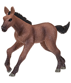SHOWMASTER Play series Puledro Oldenburger - 622010