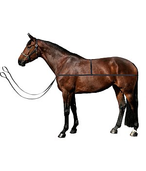 SHOWMASTER Dispositivo di aiuto al carico cavalli Quick - 960075--S