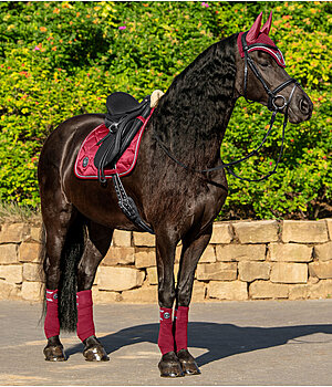 Outfit Felix Bhler Equestrian Sports in ciliegia - OF001570