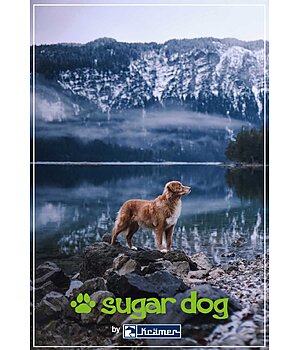 Kramer  Buono regalo stampabile  - GUTZA112-5W