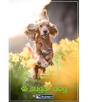 Kramer  Buono regalo stampabile  - GUTZA113-5W