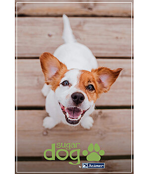 sugar dog  Buono regalo stampabile  - GUTZA114-5W