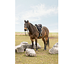 Sella Freemax Light