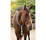 Redini a collare Tapeka