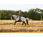 Coperta antimosche western da passeggiata con collo arrotolabile