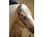 Mix & Match Futurity Knot Browband Pearls