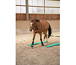 Fodera per barriera morbida