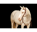 Testiera da lavoro Buckle End