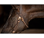 Testiera western Copper