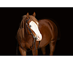 Testiera western Copper