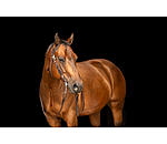 Testiera western Copper