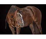 Testiera Braided Rawhide