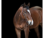 Testiera Braided Rawhide