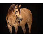 Testiera da lavoro Harness