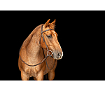 Testiera da lavoro Harness