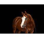 Testiera da lavoro one ear Harness