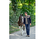 Felpa con cappuccio da uomo Jasper